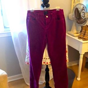 Ann Taylor purple cords